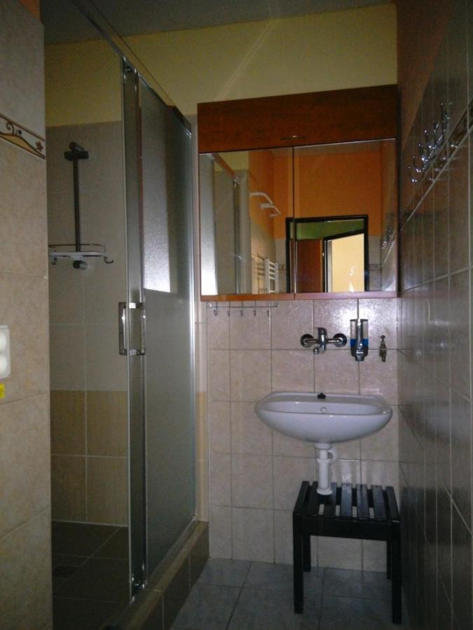 Apartmany Pod Suchym Vrchem Orličky Dış mekan fotoğraf